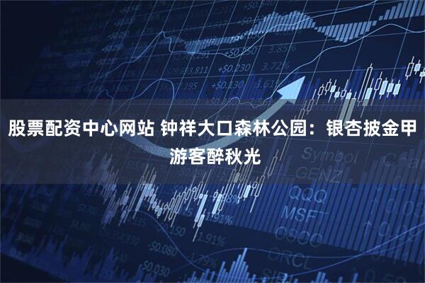 股票配资中心网站 钟祥大口森林公园：银杏披金甲 游客醉秋光