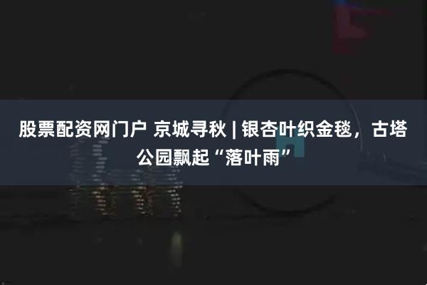 股票配资网门户 京城寻秋 | 银杏叶织金毯，古塔公园飘起“落叶雨”