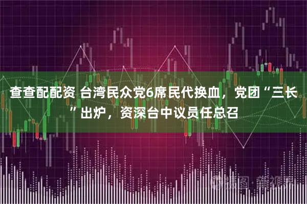 查查配配资 台湾民众党6席民代换血，党团“三长”出炉，资深台中议员任总召