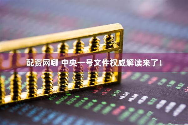 配资网哪 中央一号文件权威解读来了！