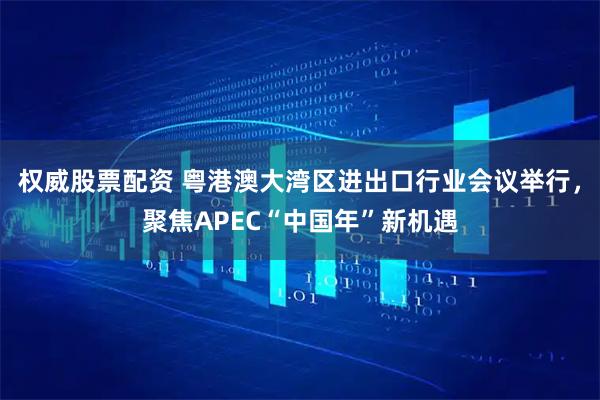 权威股票配资 粤港澳大湾区进出口行业会议举行，聚焦APEC“中国年”新机遇
